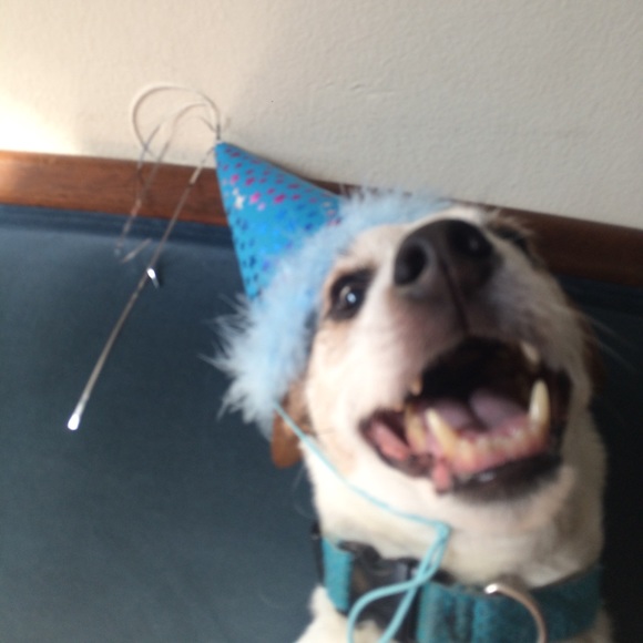 Mario - Picture 1 of 1